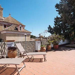 Penthouse Private Terrace, Near Cathedral, And To Real Maestranza Seville